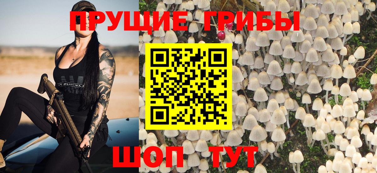 Псилоцибиновые грибы GOLDEN TEACHER Семилуки