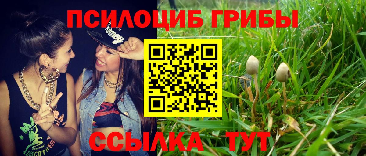 Псилоцибиновые грибы GOLDEN TEACHER  Вход с VPN  Галлюциногенные грибы Magic Shrooms  Семилуки 